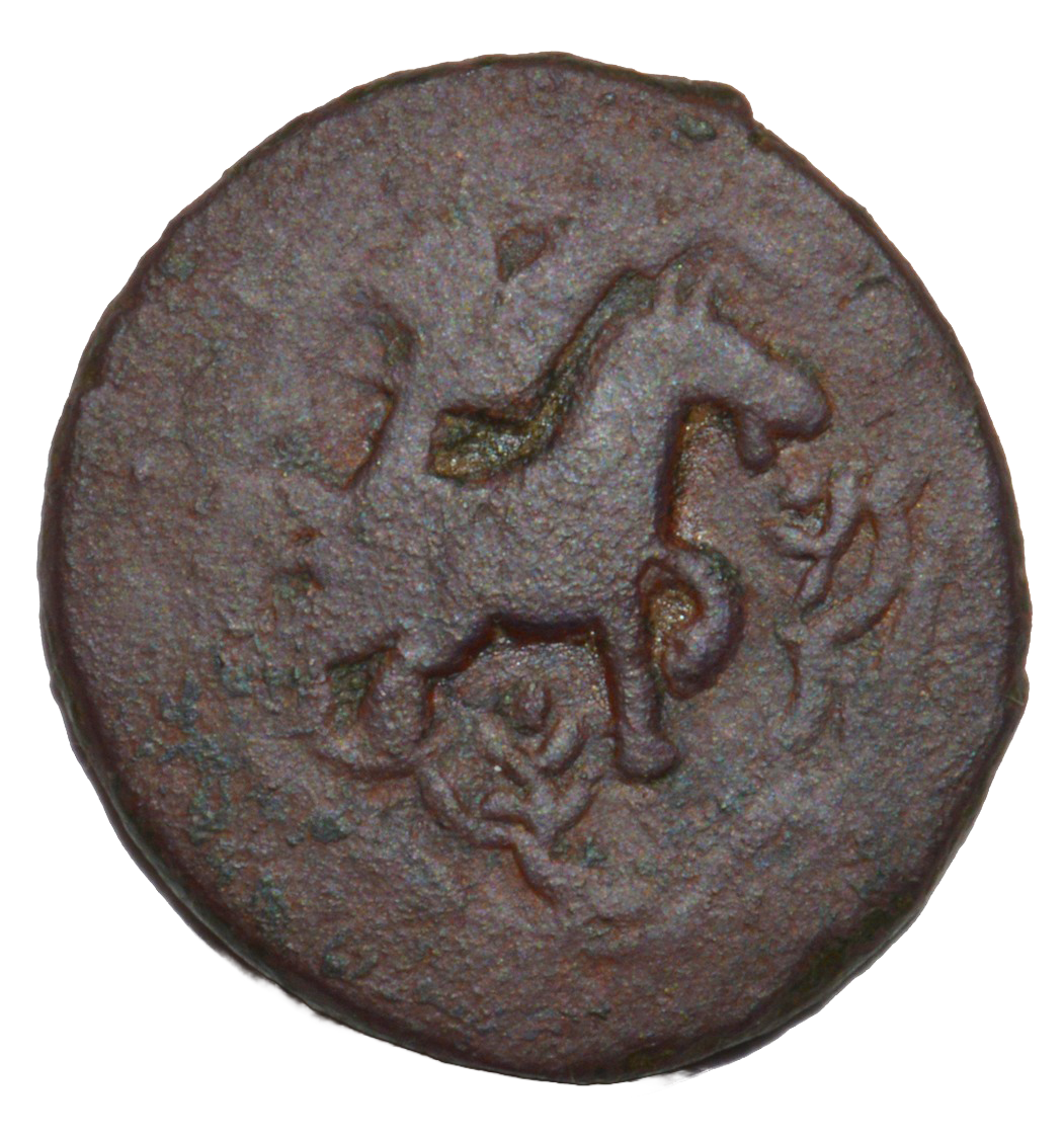 coin