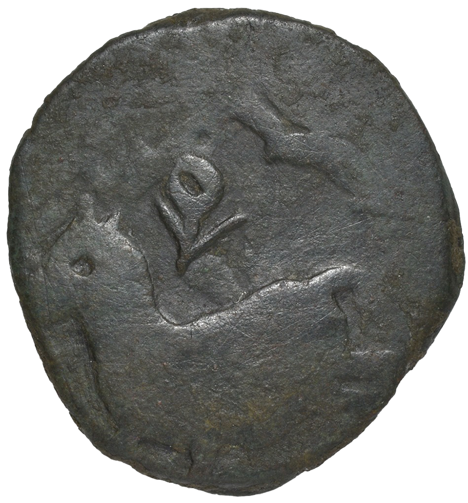 coin